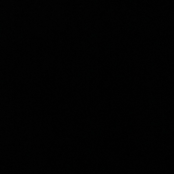 Meet your Posher, 🦋 payton - Picture 1 of 1